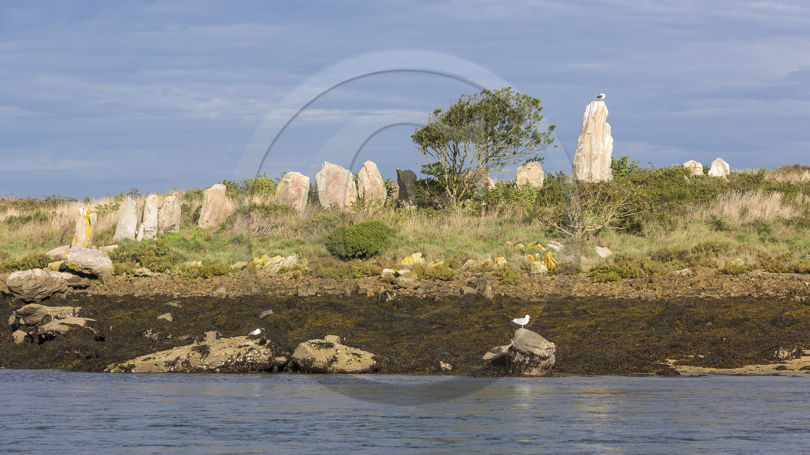 Er Lannic dans le golfe du Morbihan à Arzon Er Lannic dans le golfe du Morbihan à Arzon