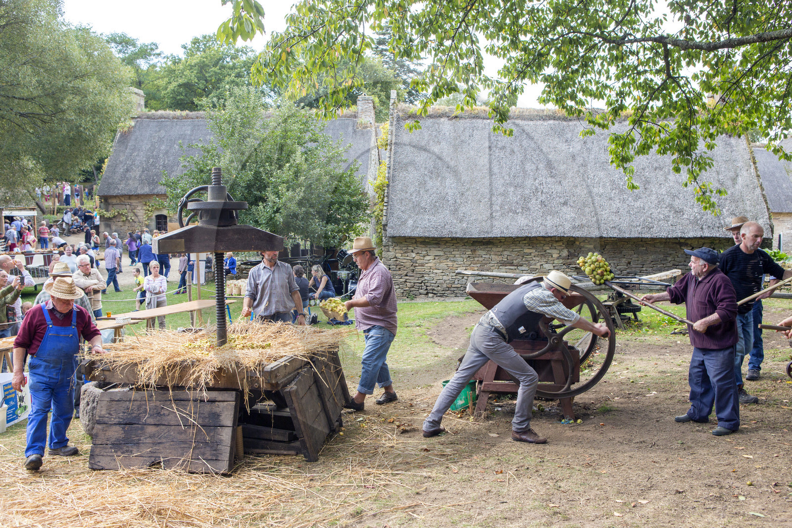 2016_Fête du cidre dans le village de Poul Fétan. Quistinic dans le Morbihan 2016_Fête du cidre dans le village de Poul Fétan. Quistinic dans le Morbihan