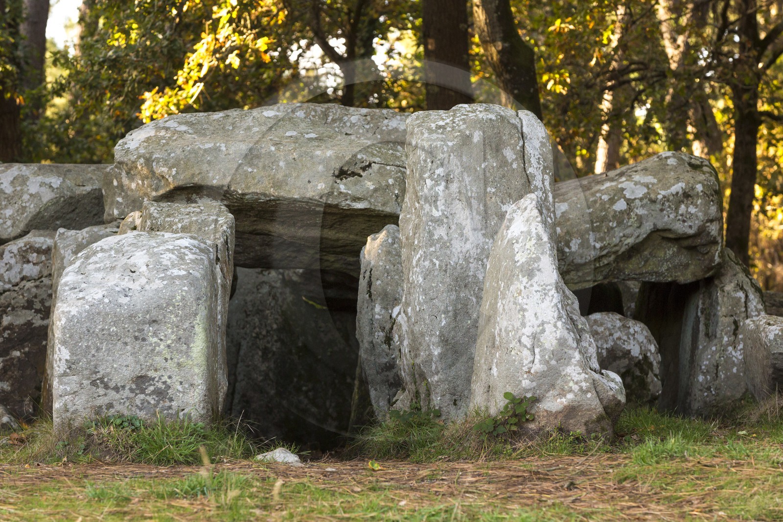 Le dolmen de Mané Groh _ Erdeven