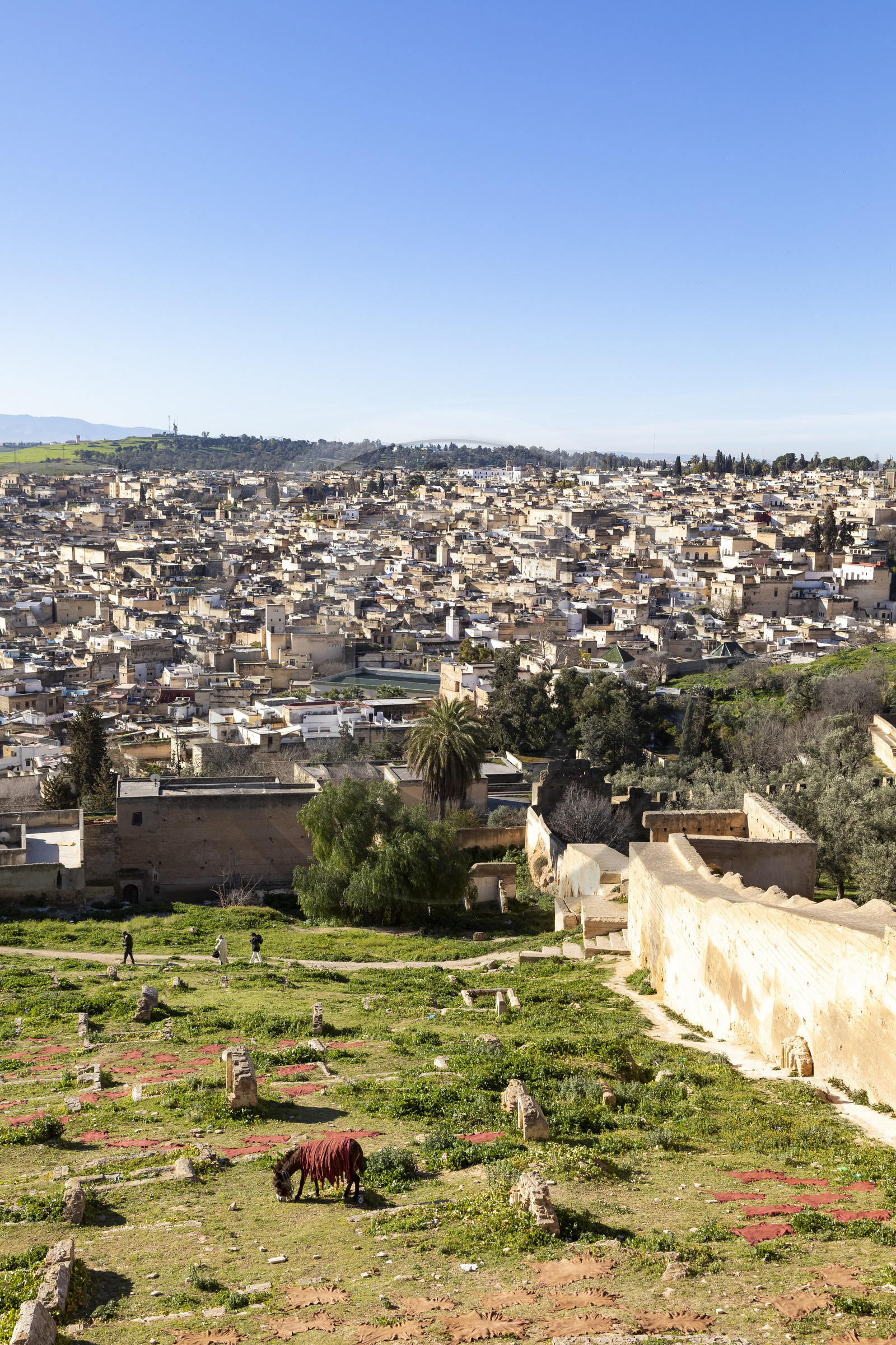 View of the Medina of Fez in Marocco