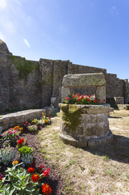 The towers Bro Erec'h _ Hennebont