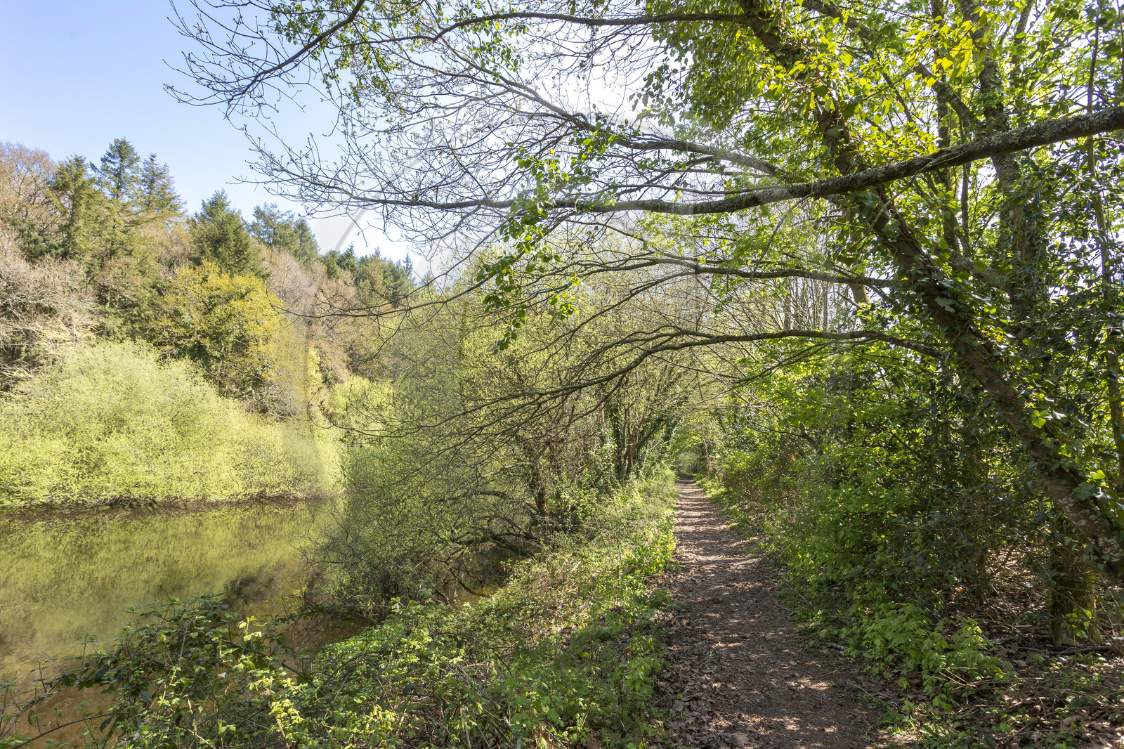 Landscape along the Scorff. Pont-Scorff