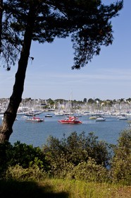 Le port de la Trinite sur mer