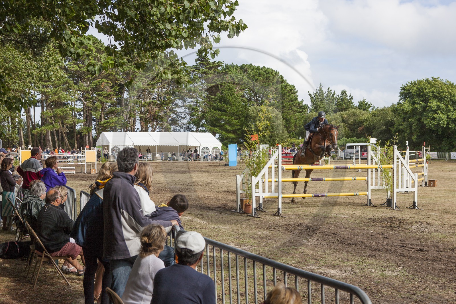 concours equestre _ la Trinite sur Mer ( 56 )