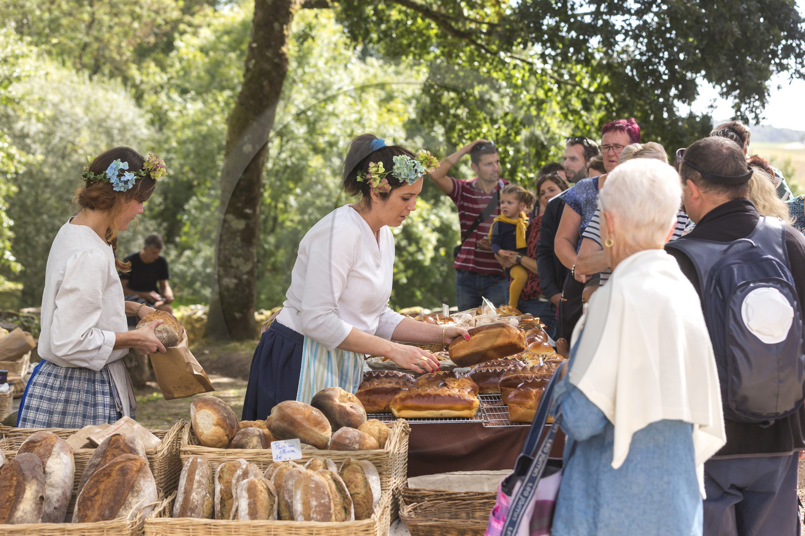 2016_Fête du cidre dans le village de Poul Fétan. Quistinic dans le Morbihan 2016_Fête du cidre dans le village de Poul Fétan. Quistinic dans le Morbihan