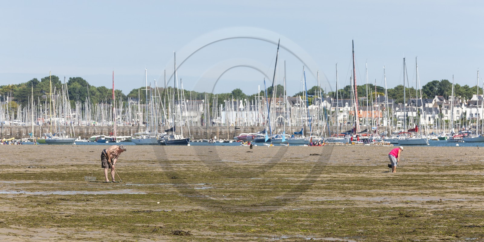 La plage du port _ la Trinite sur Mer La plage du port _ la Trinite sur Mer