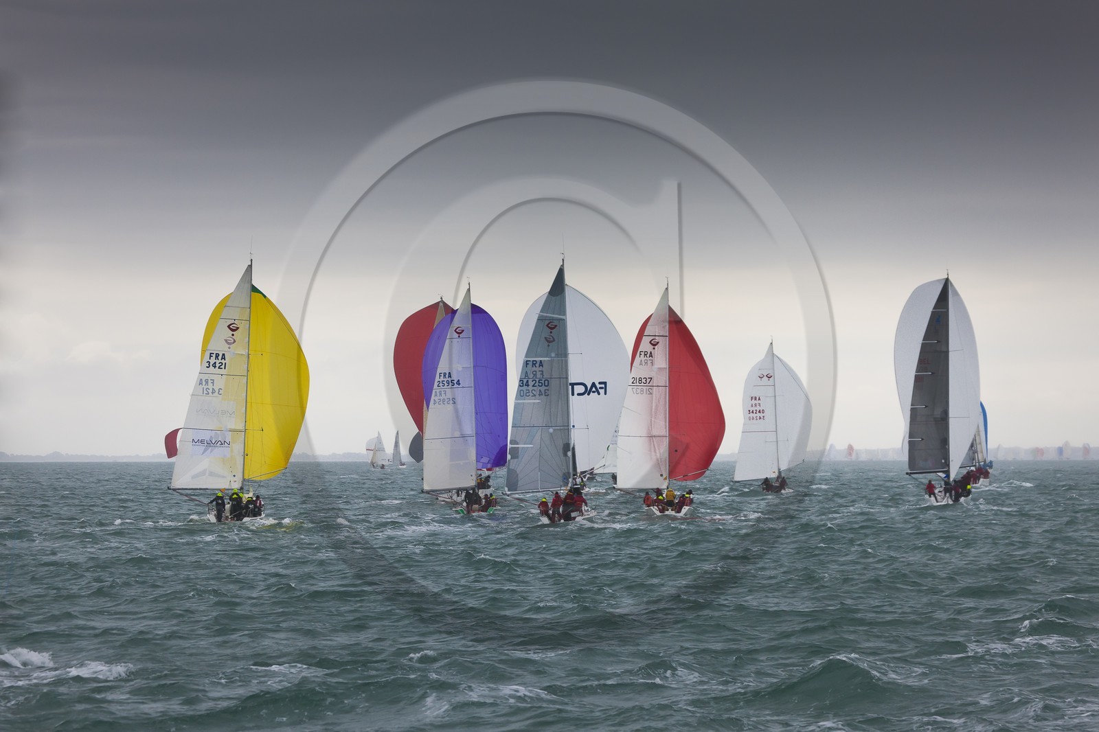 Spi Ouest-France _ La Trinite-sur-Mer Spi Ouest-France _ La Trinite-sur-Mer