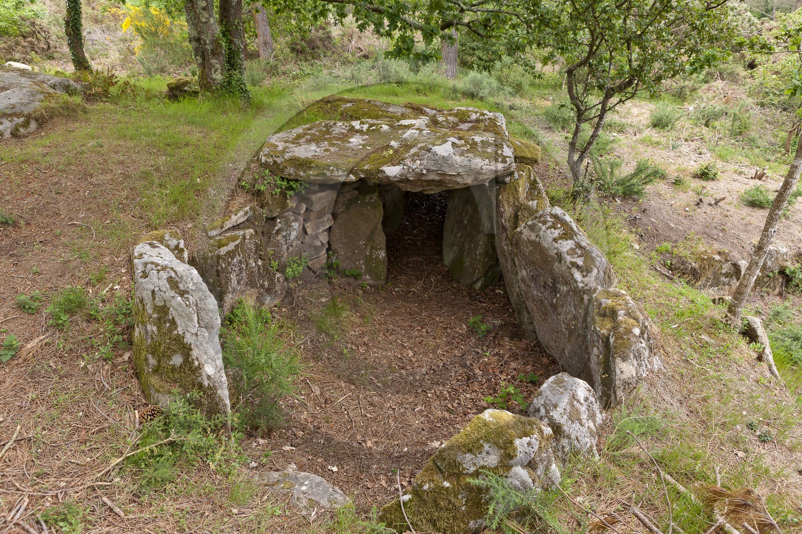 Le dolmen de Mane Bras _ la Trinite sur mer. Le dolmen de Mane Bras _ la Trinite sur mer.