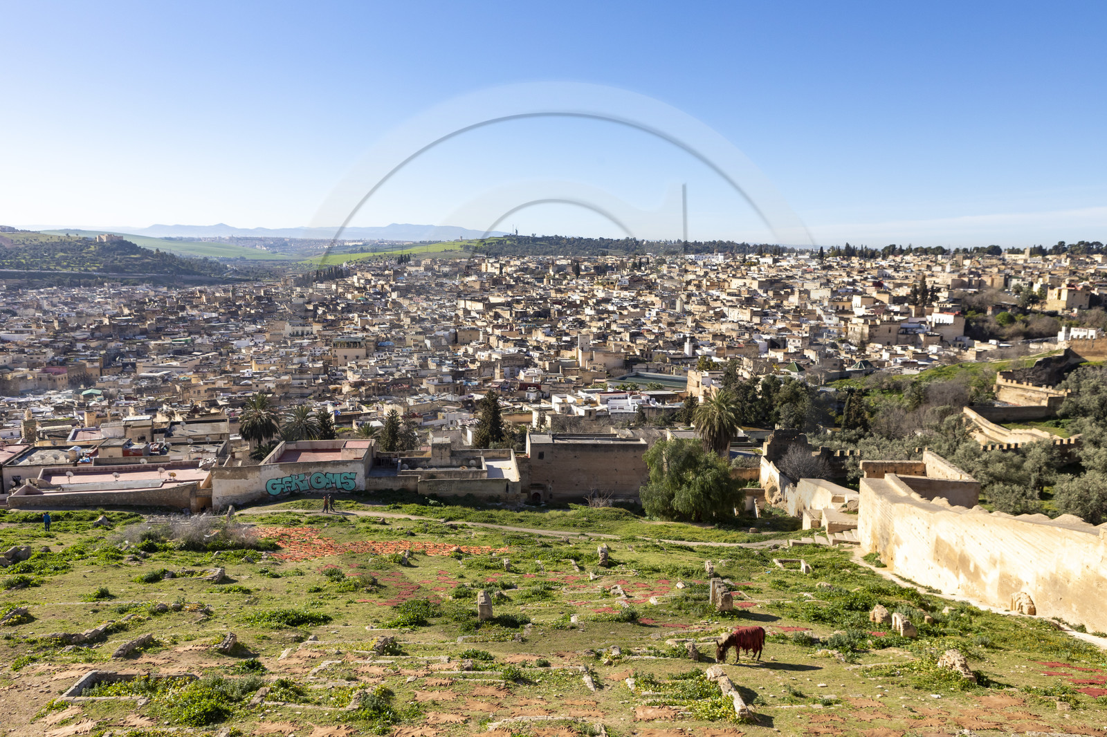 View of the Medina of Fez in Marocco