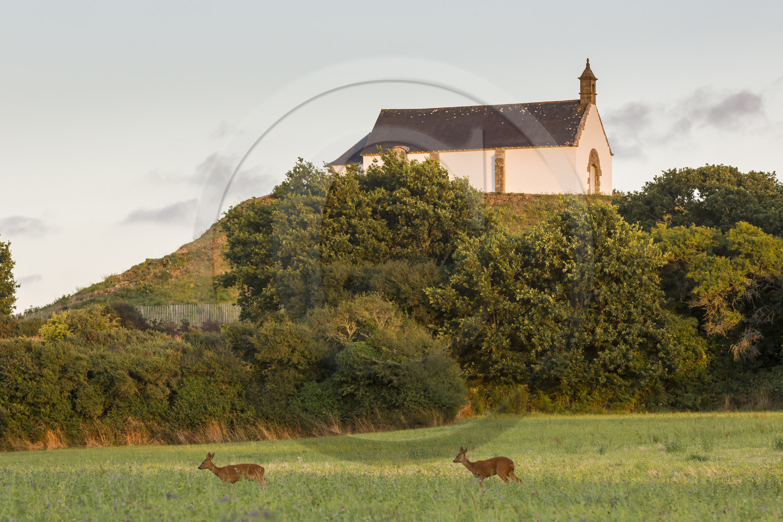 Le tumulus Saint-Michel à Carnac