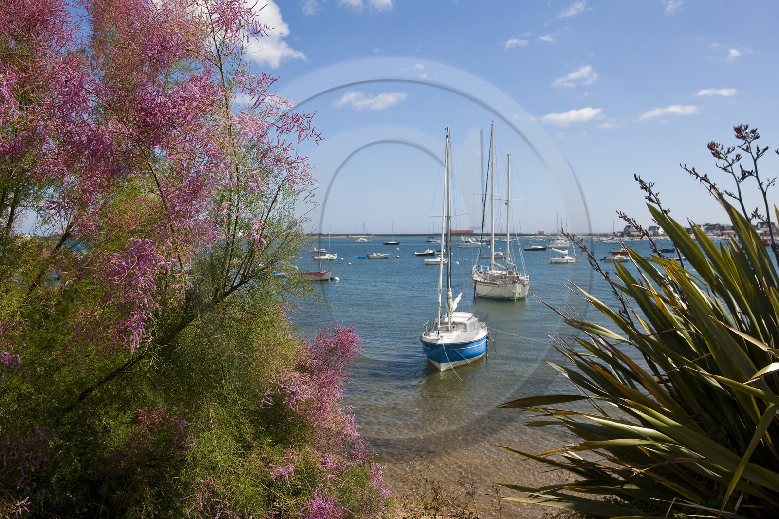 Port de Locmalo _ Port-Louis Port de Locmalo _ Port-Louis