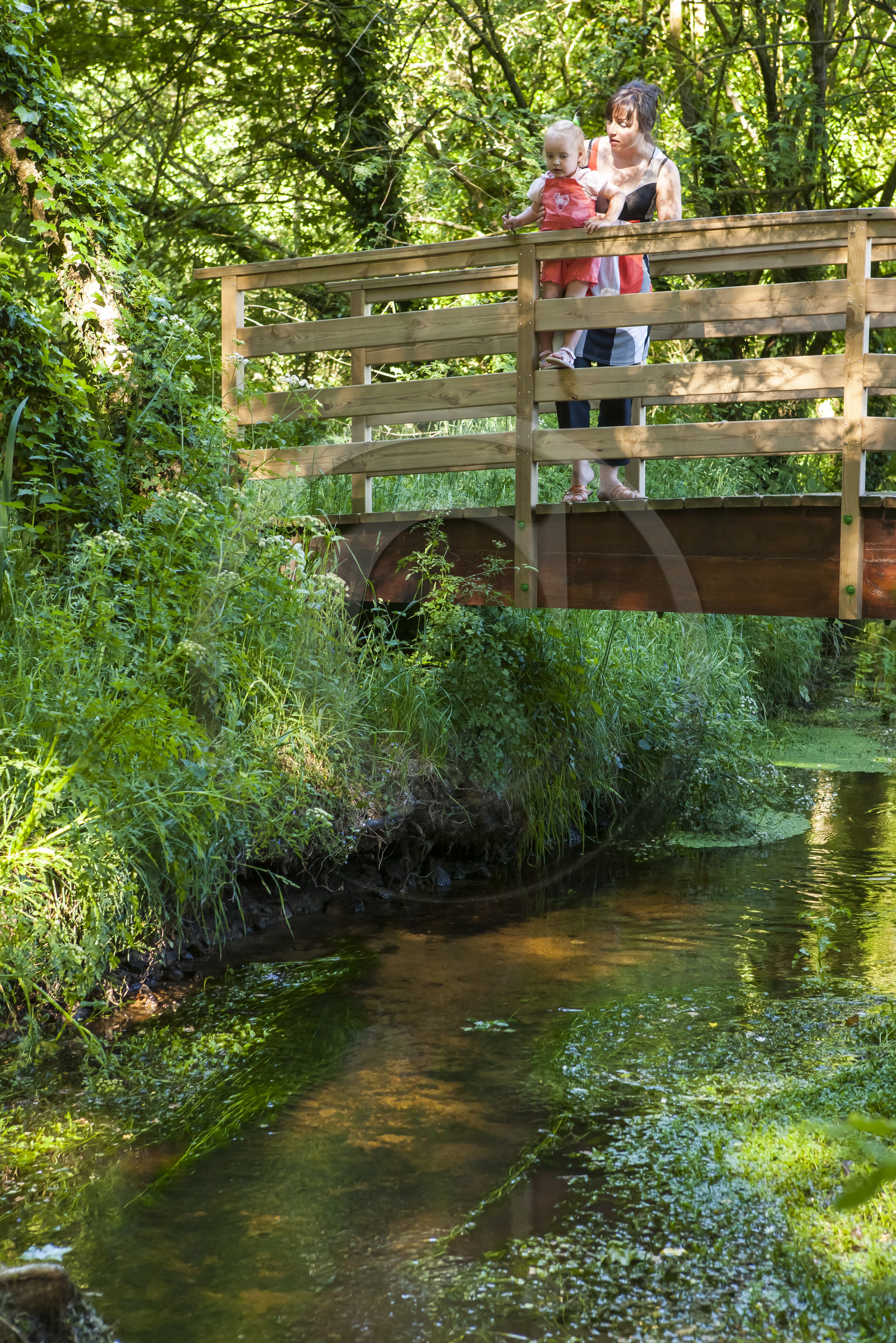 Le ruisseau le Rion sur la commune de Brandérion Le ruisseau le Rion sur la commune de Brandérion