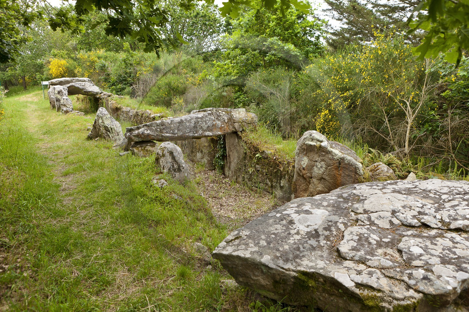 SITE ARCHEOLOGIQUE DE MANE ROULARDE _ LA TRINITE SUR MER SITE ARCHEOLOGIQUE DE MANE ROULARDE _ LA TRINITE SUR MER