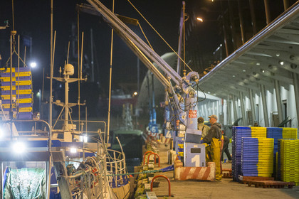 Port de pêche de Keroman à Lorient