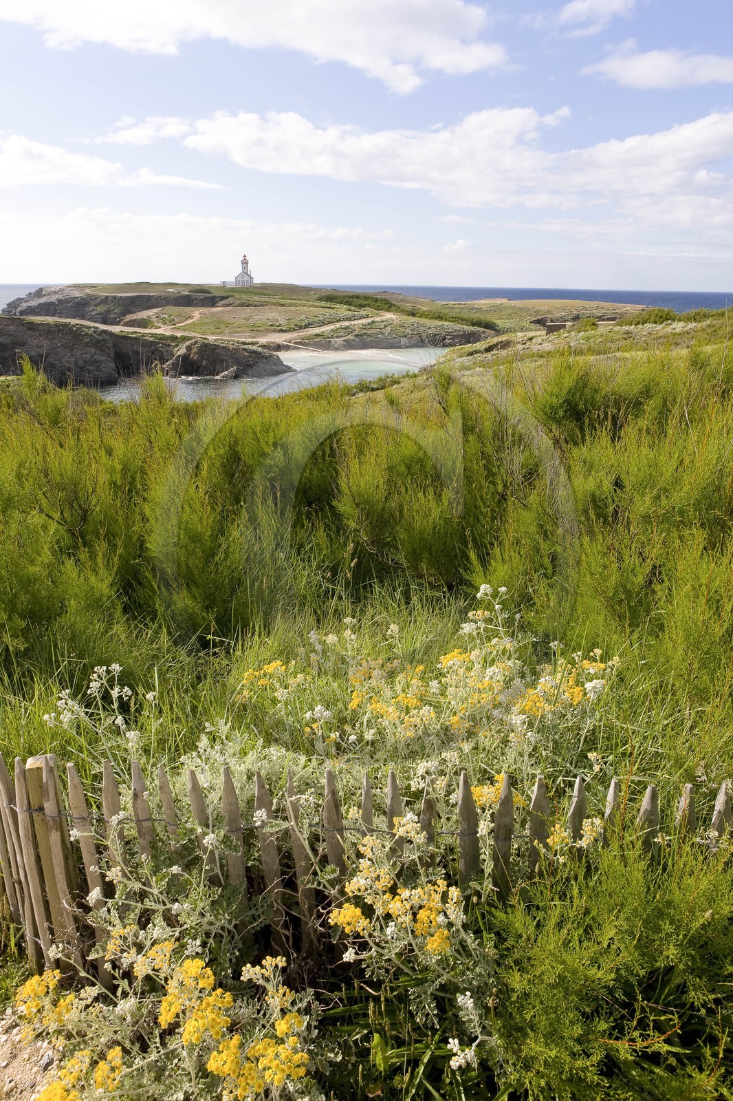 La pointe des poulains_Belle-île en mer_Morbihan_France