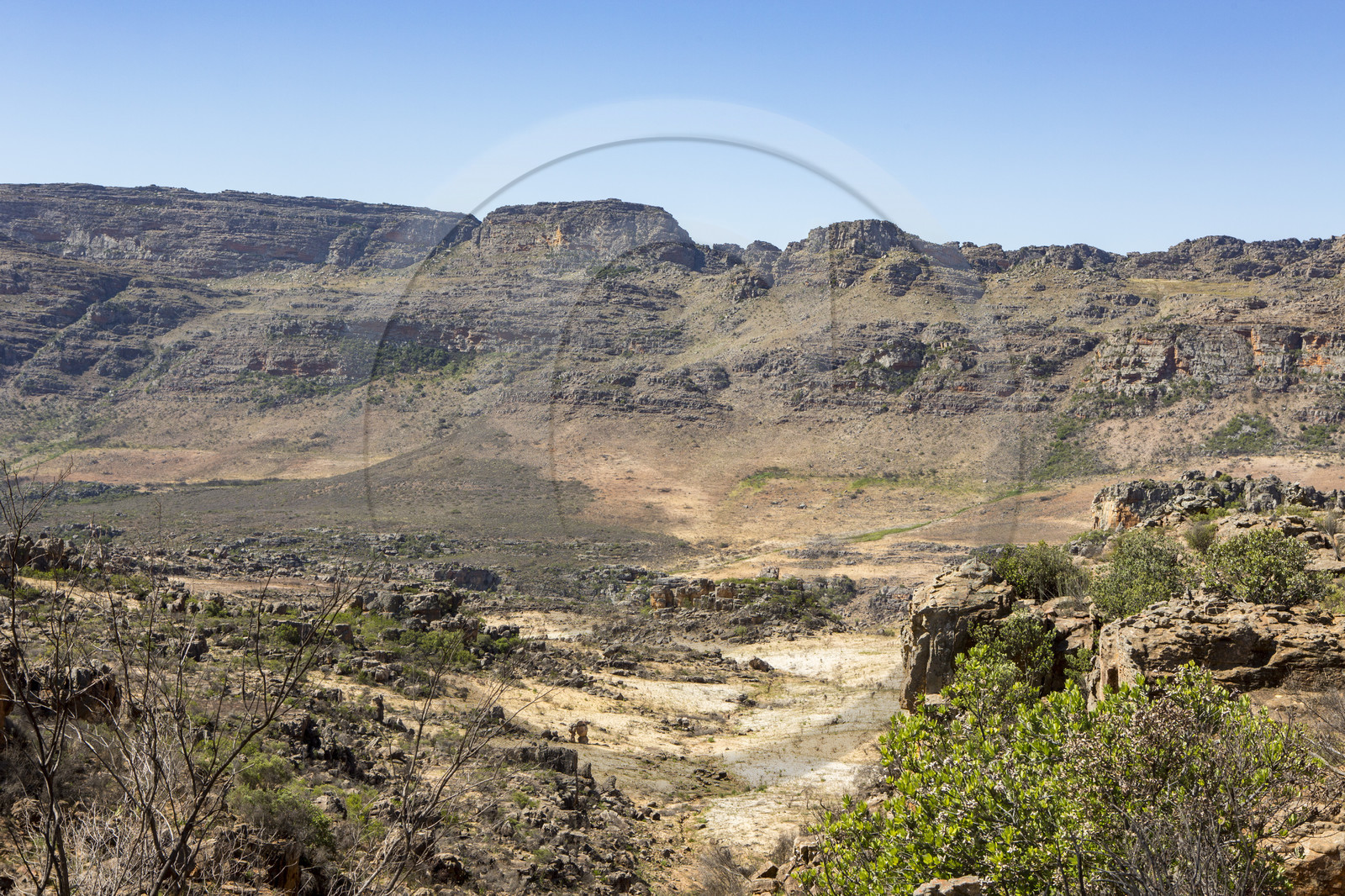 Cederberg _ Afrique du Sud Cederberg _ Afrique du Sud