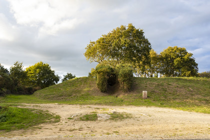 Le tumulus du Moustoir à Carnac