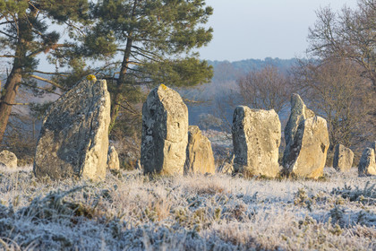 Alignements de Kerlescan à Carnac