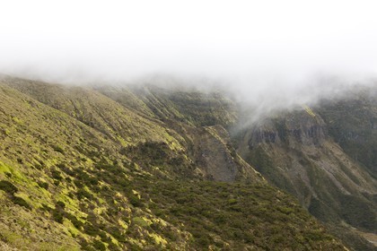 Caldeira de Faial _ les Açores
