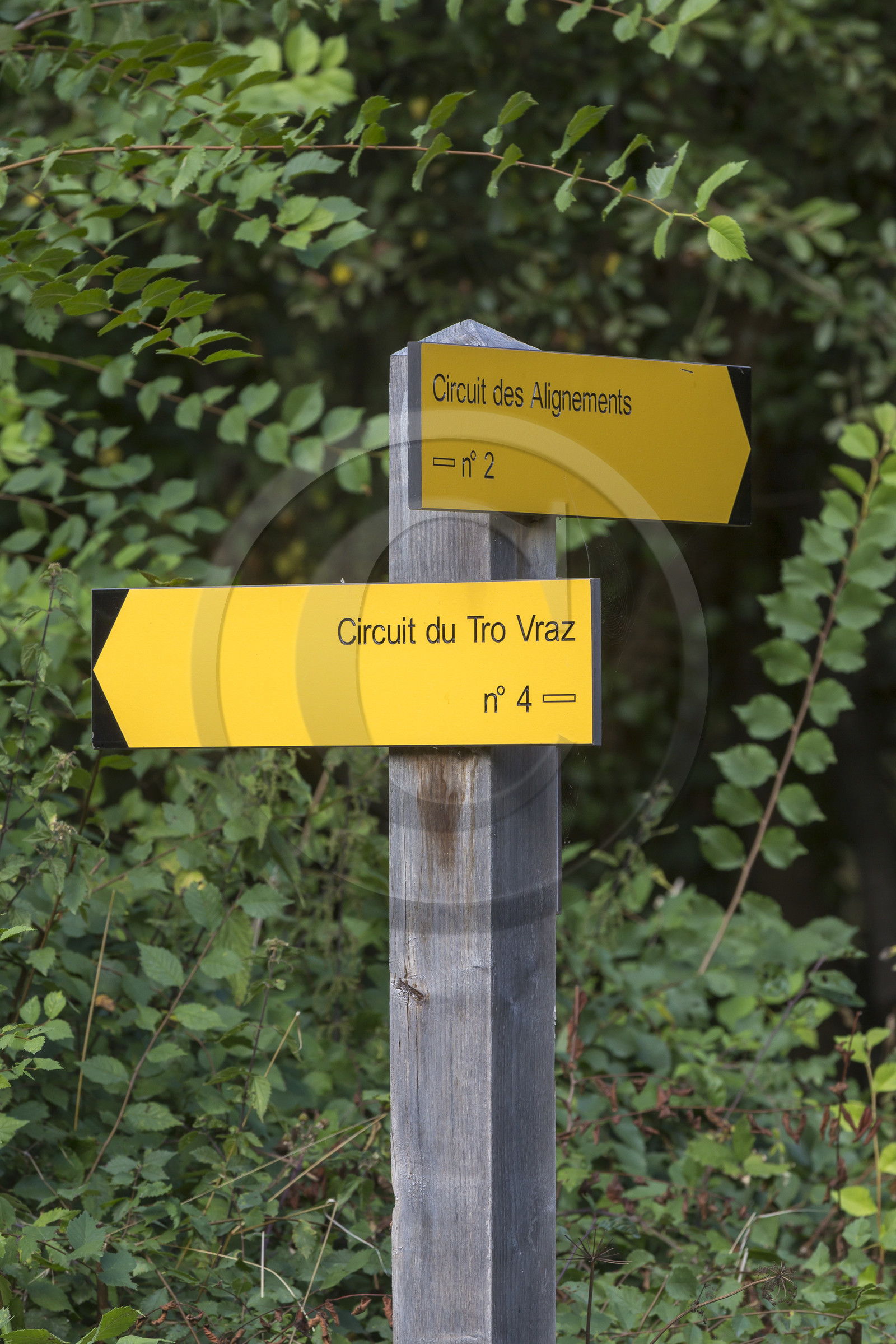 Panneaux de signalisation des chemins pedestres à Carnac