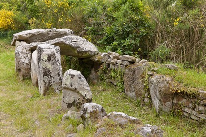 SITE ARCHEOLOGIQUE DE MANE ROULARDE _ LA TRINITE SUR MER