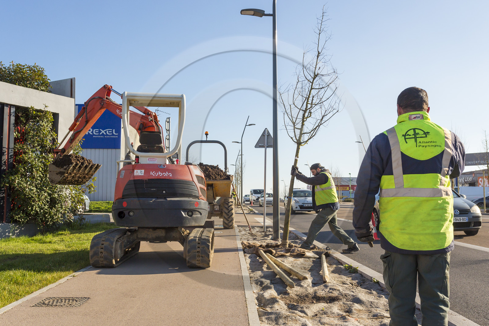 Triskell_Arbres_Queudet Triskell_Arbres_Queudet