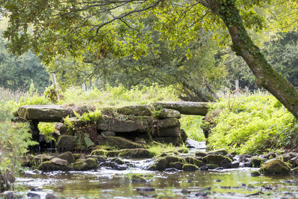 waterway of Brandifout_Bubry