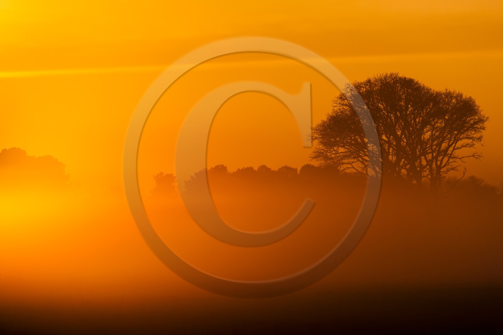champ dans la brume_Erdeven