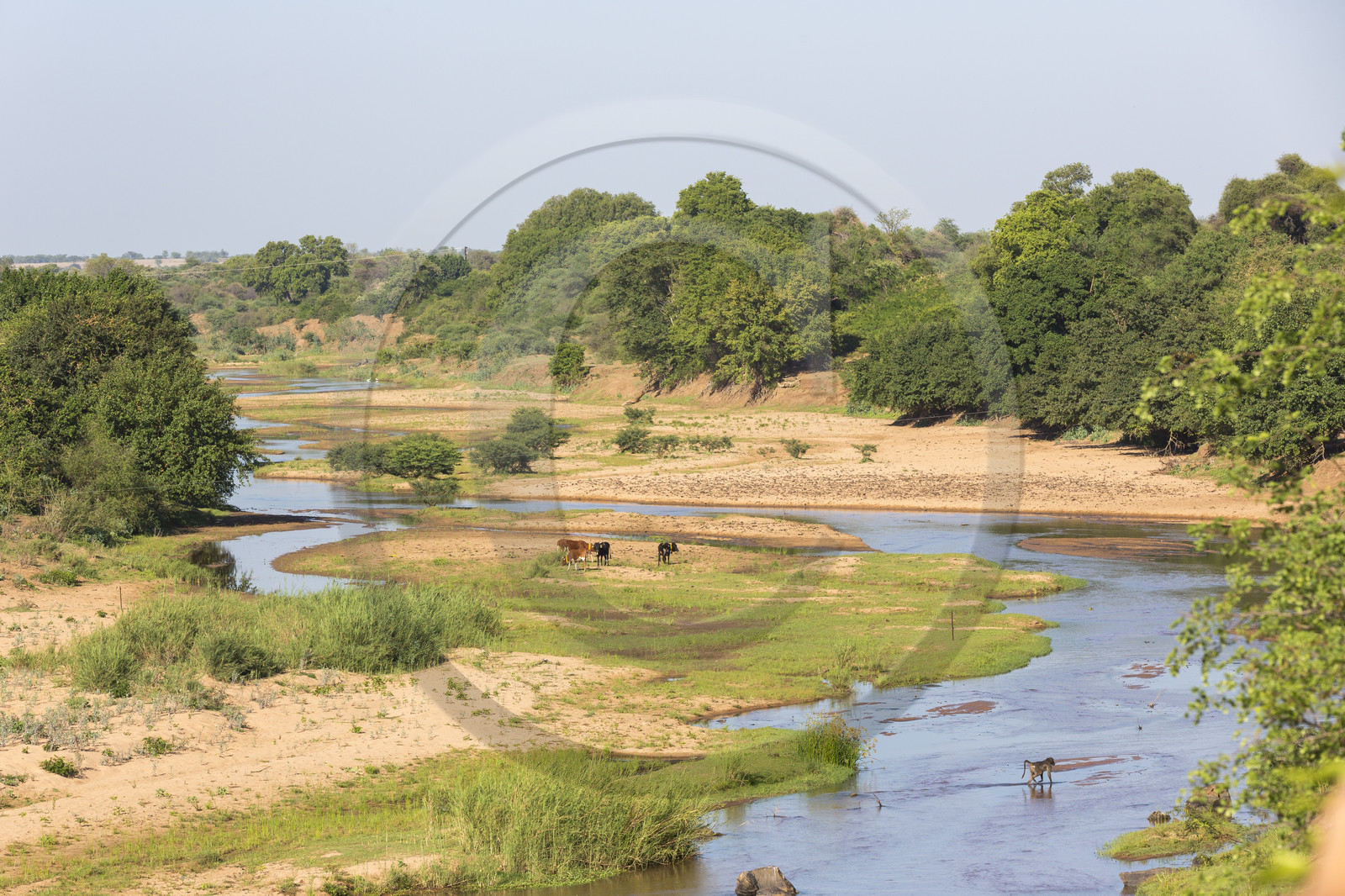 La rivière Letaba en bordure du parc Krüger_Afrique du Sud La rivière Letaba en bordure du parc Krüger_Afrique du Sud