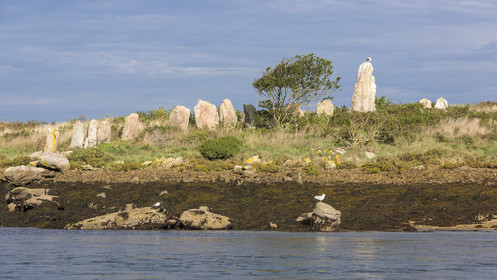 Er lannic in the Gulf of Morbihan in Arzon