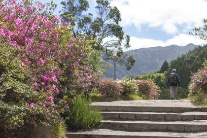 Jardin _ Furnas