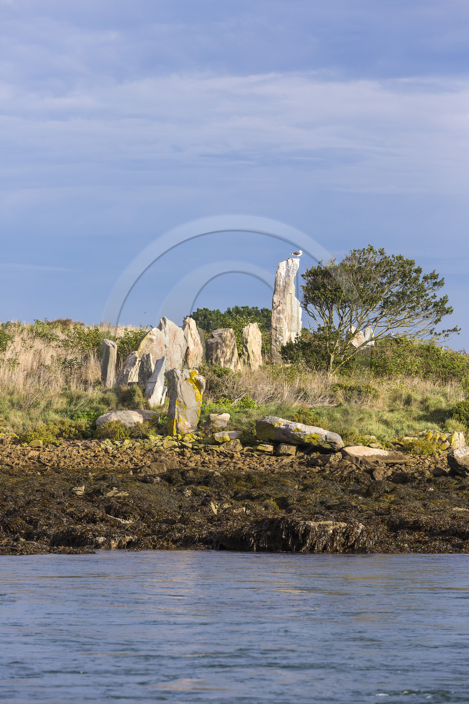 Er Lannic dans le golfe du Morbihan à Arzon Er Lannic dans le golfe du Morbihan à Arzon