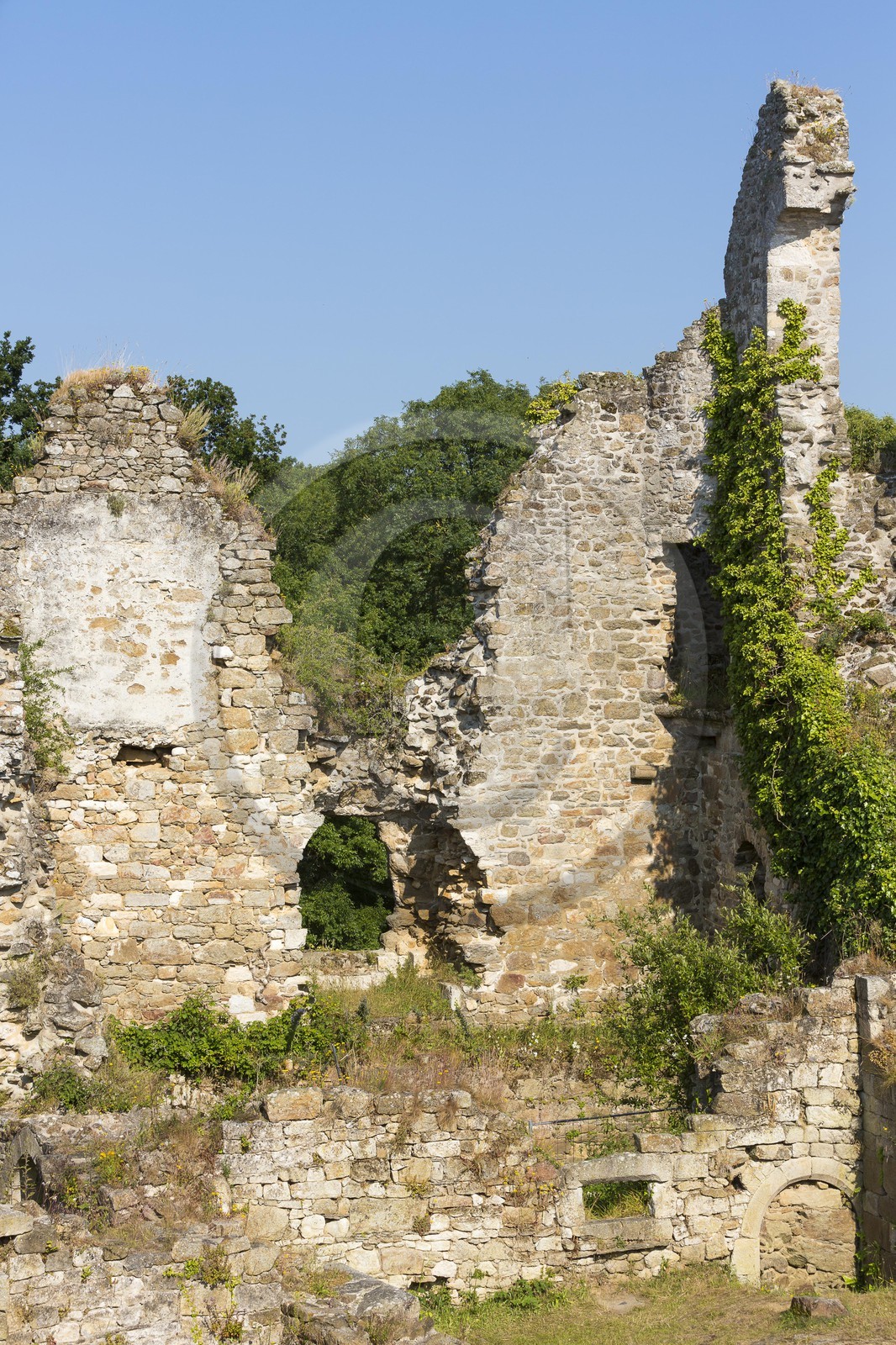 Le château du Guildo Le château du Guildo