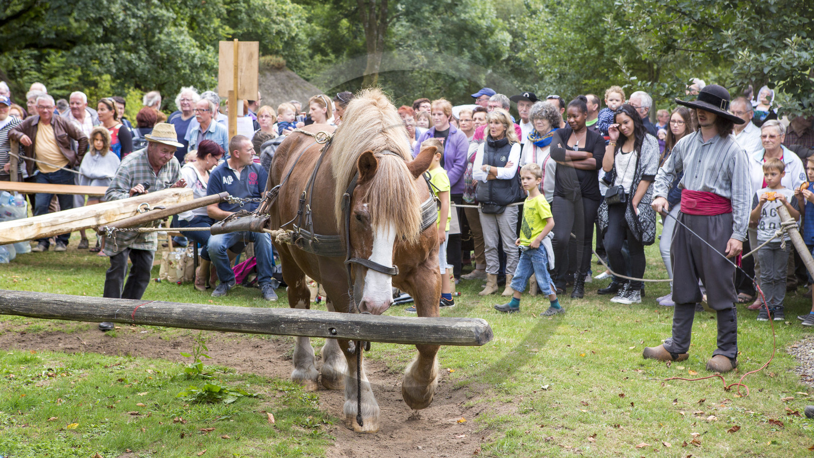 2016, Cider Festival in the village of Poul Fetan. Quistinic in the Morbihan 2016, Cider Festival in the village of Poul Fetan. Quistinic in the Morbihan
