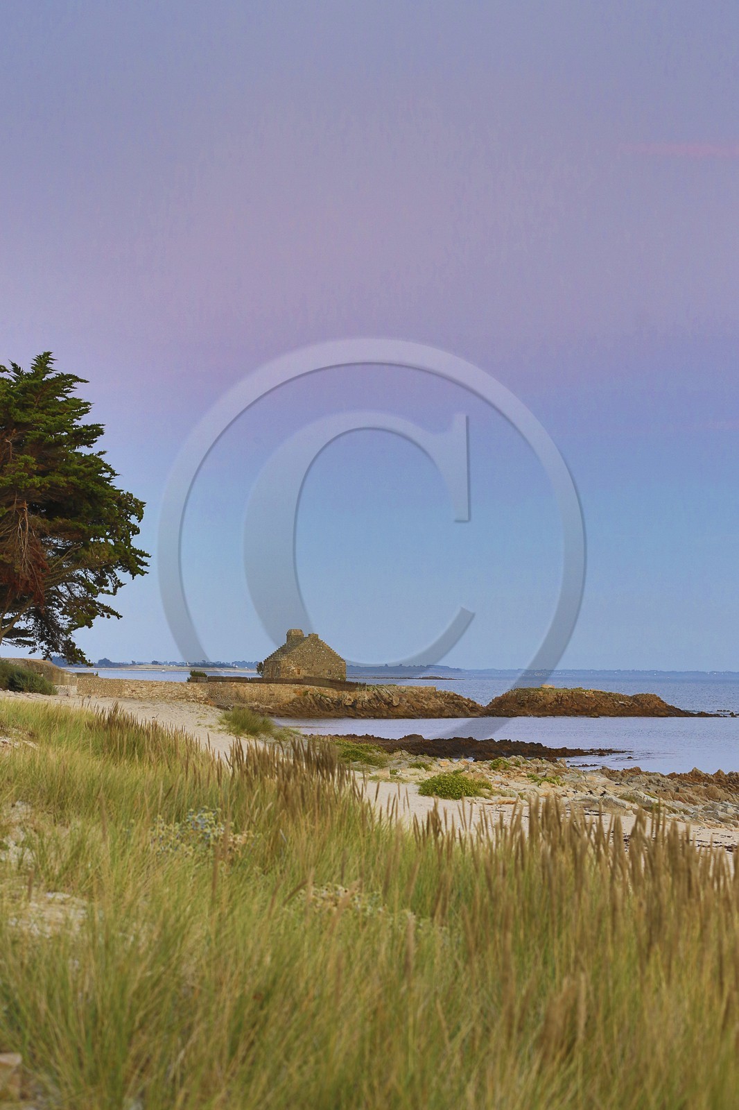 La pointe de Kerbihan _ La Trinite sur Mer La pointe de Kerbihan _ La Trinite sur Mer