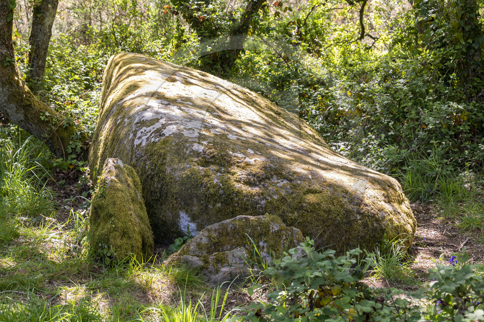 Dolmen de Men Hiaul (Kerblay) à Sarzeau