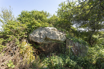 Allée couverte du Net _ Saint-Gildas-de-Rhuys