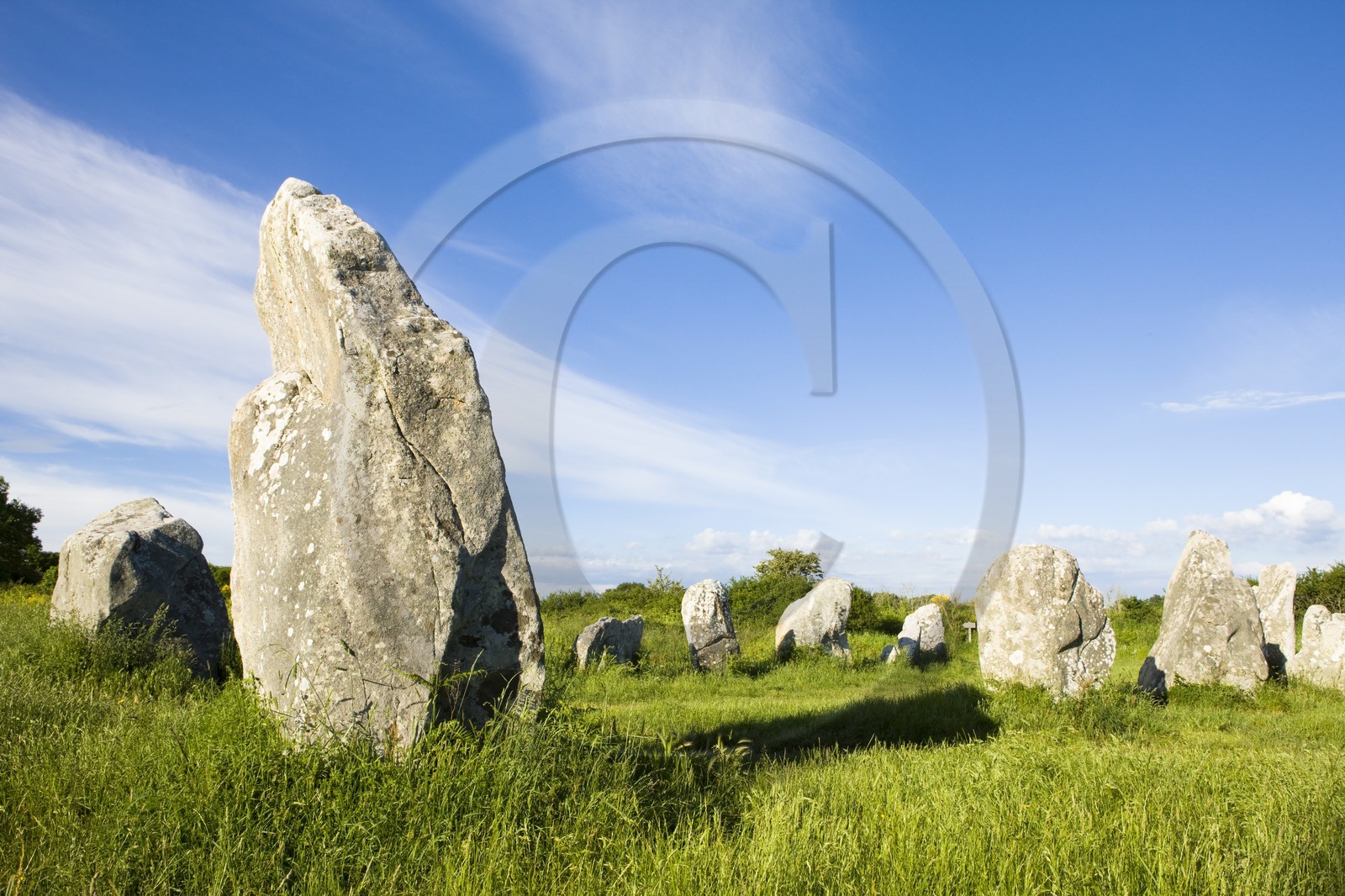 Alignement de Menhirs de Kerzerho_Erdeven_Morbihan_Bretagne_France Alignement de Menhirs de Kerzerho_Erdeven_Morbihan_Bretagne_France
