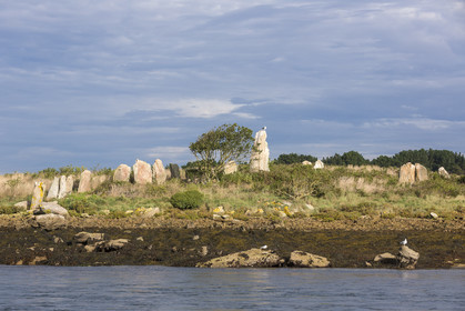 Er lannic in the Gulf of Morbihan in Arzon