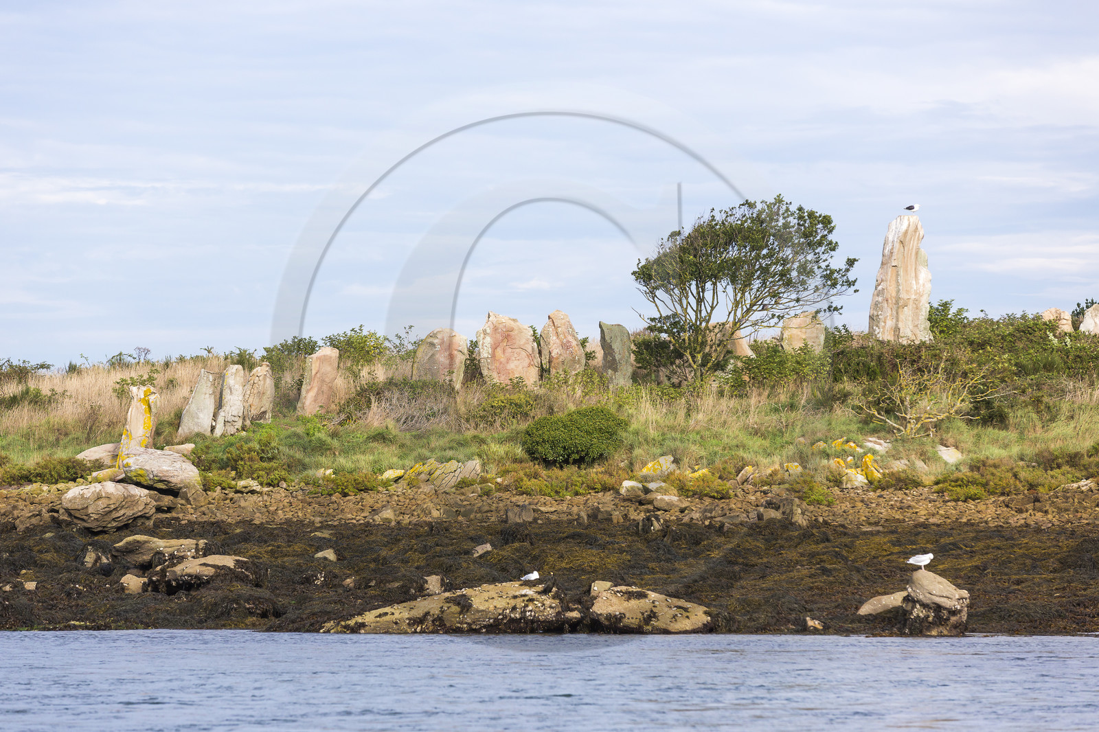 Er Lannic dans le golfe du Morbihan à Arzon Er Lannic dans le golfe du Morbihan à Arzon
