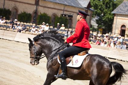 Les Haras_Hennebont