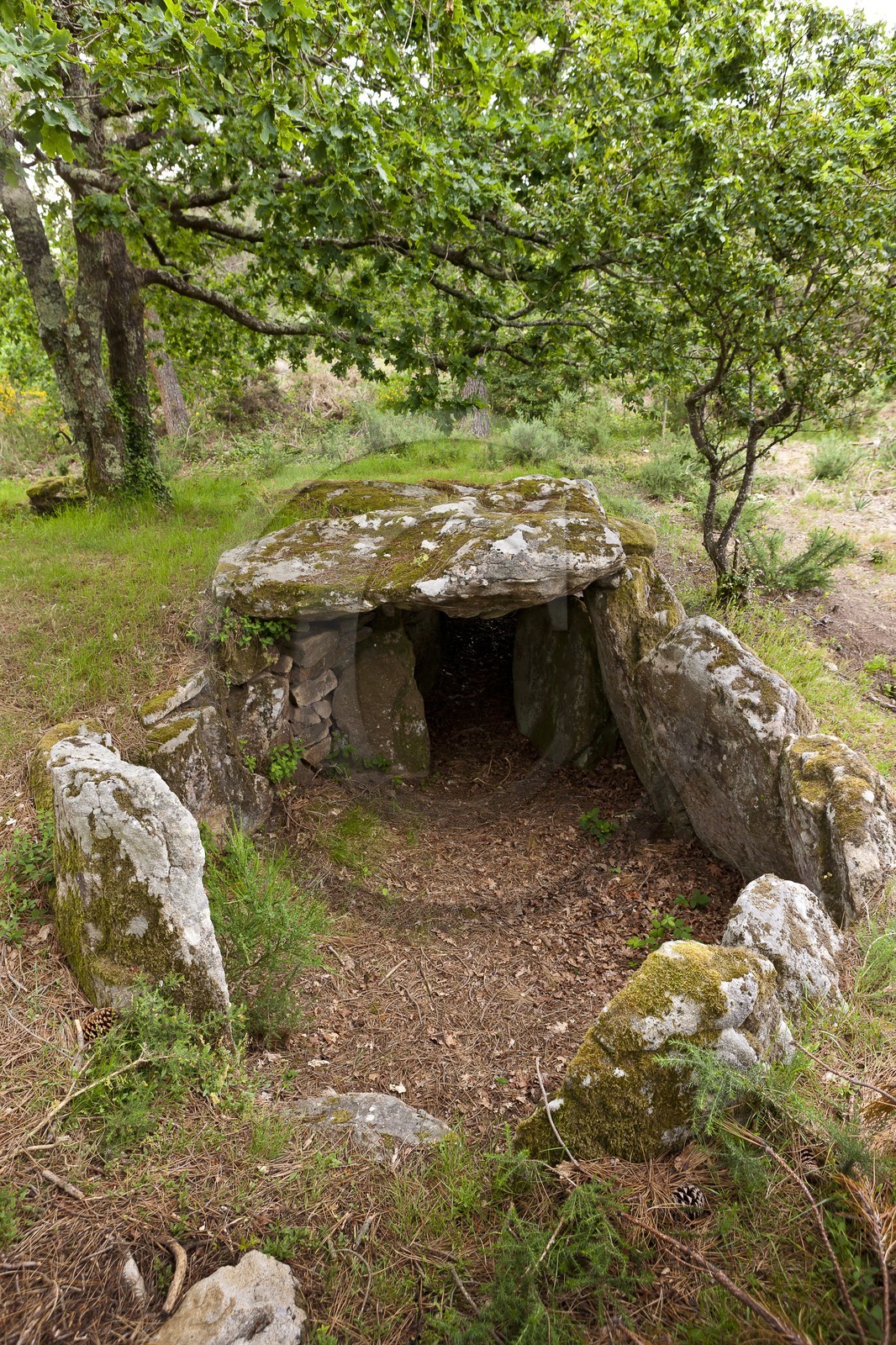 Le dolmen de Mane Bras _ la Trinite sur mer. Le dolmen de Mane Bras _ la Trinite sur mer.