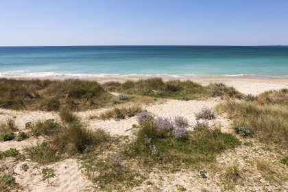 La plage de Lines à Gâvres