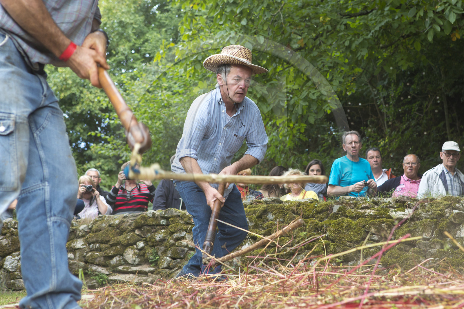 2016_Fête du cidre dans le village de Poul Fétan. Quistinic dans le Morbihan 2016_Fête du cidre dans le village de Poul Fétan. Quistinic dans le Morbihan