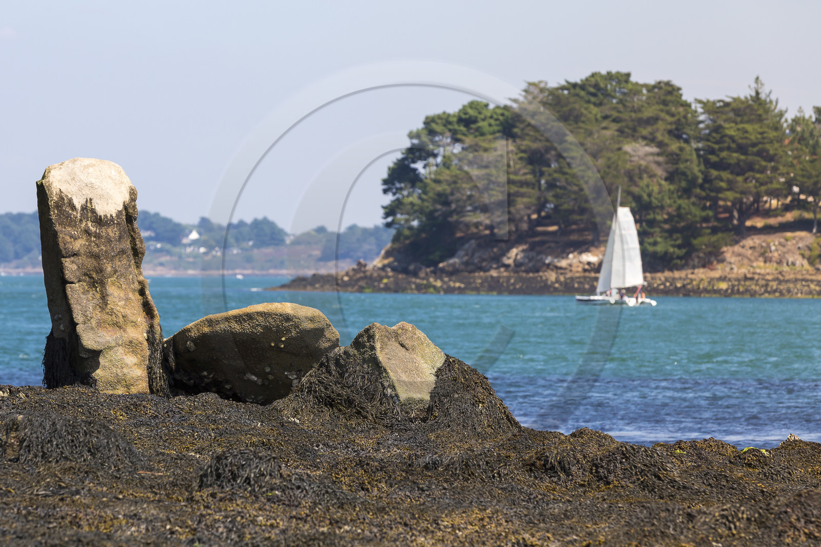 Er Lannic dans le golfe du Morbihan à Arzon Er Lannic dans le golfe du Morbihan à Arzon