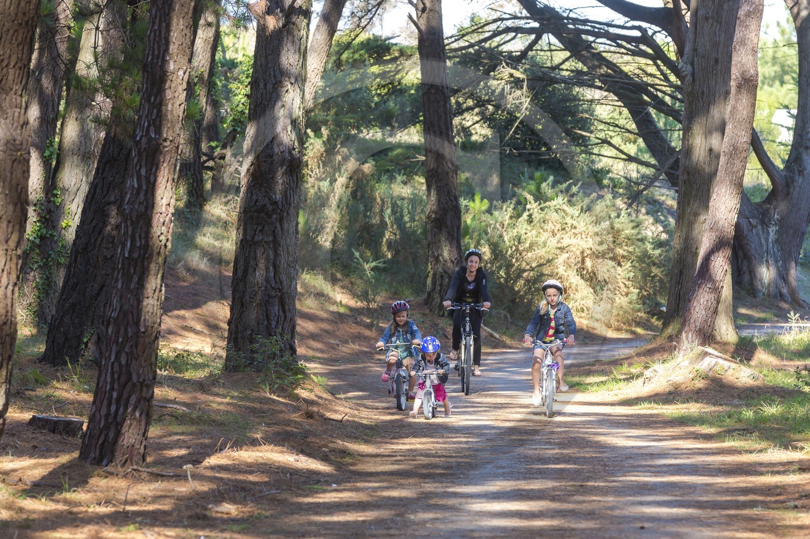 La voie verte à Plouharnel.