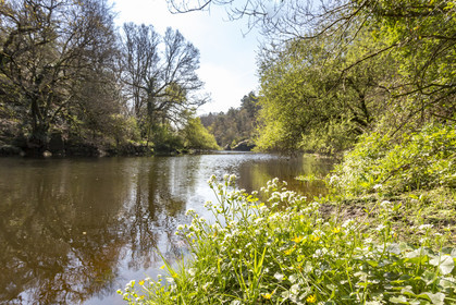 Landscape along the Scorff. Pont-Scorff