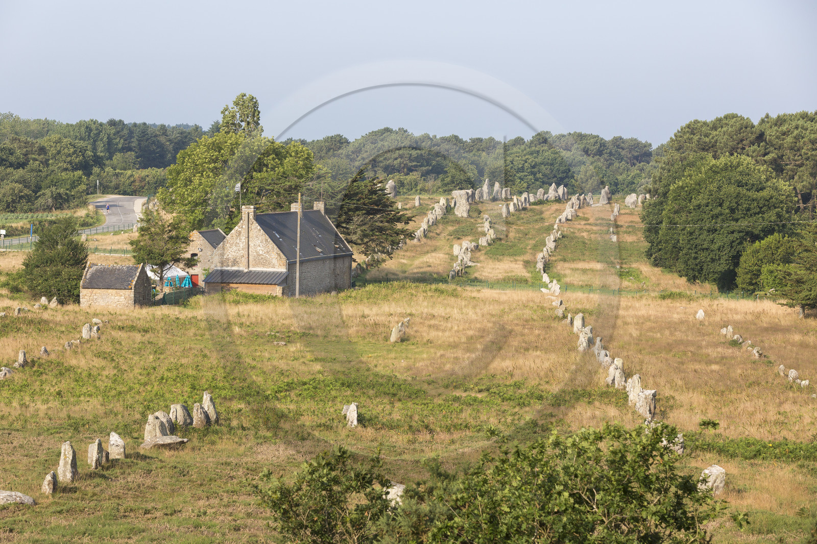 Les alignements de Kermario _ Carnac