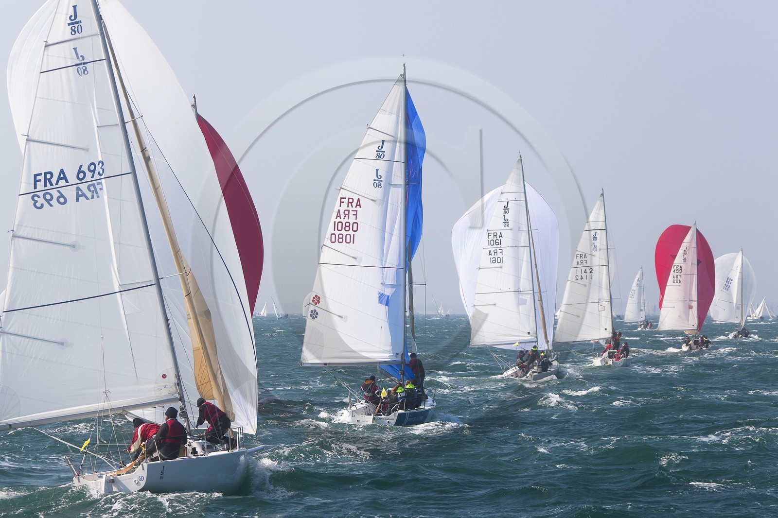 Spi Ouest-France _ La Trinite-sur-Mer Spi Ouest-France _ La Trinite-sur-Mer
