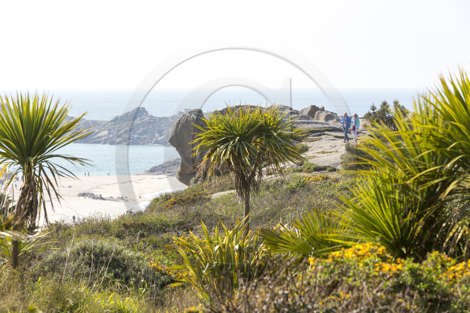 Panorama on the coast of Tregastel